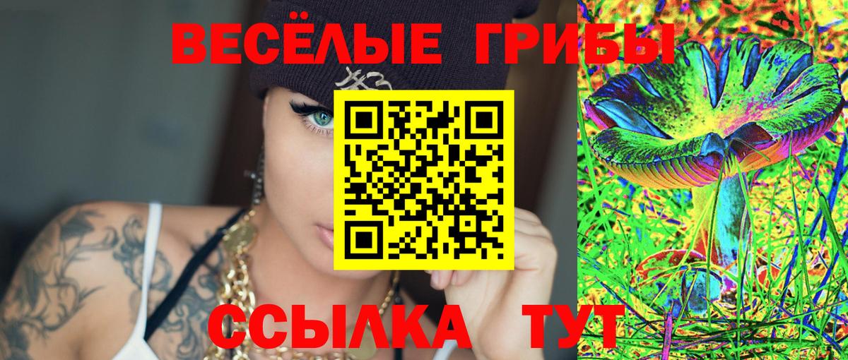 Борзя  Псилоцибиновые грибы мухоморы  Вход с VPN 