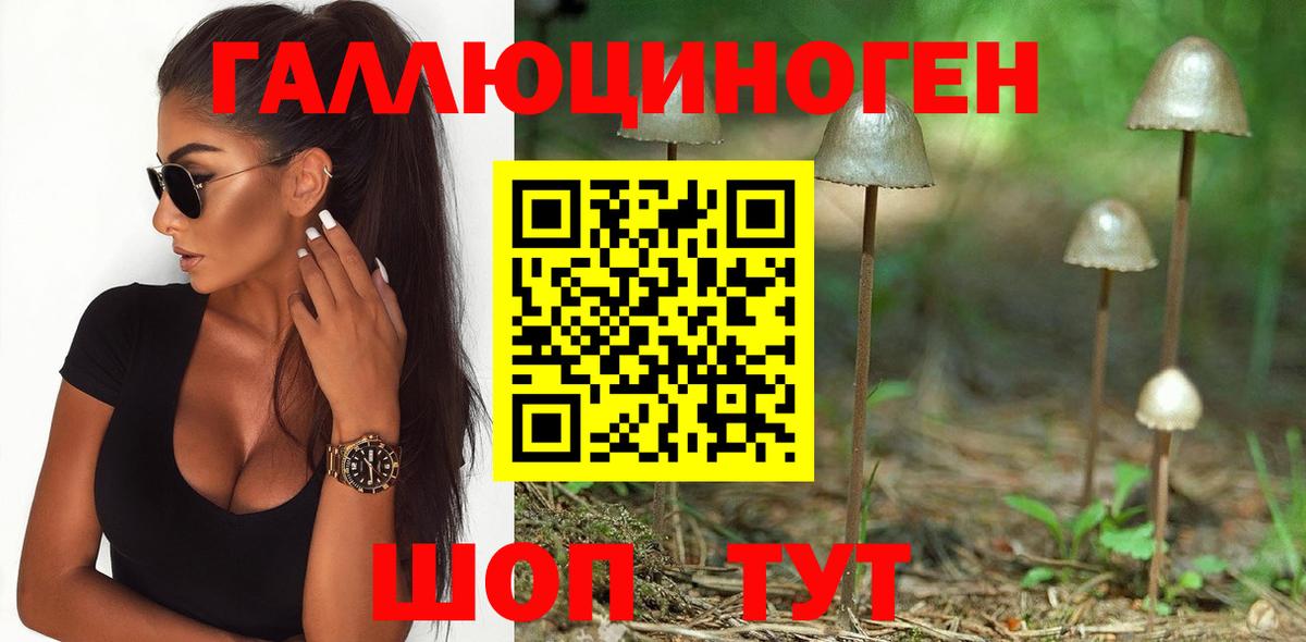 Галлюциногенные грибы Cubensis Борзя
